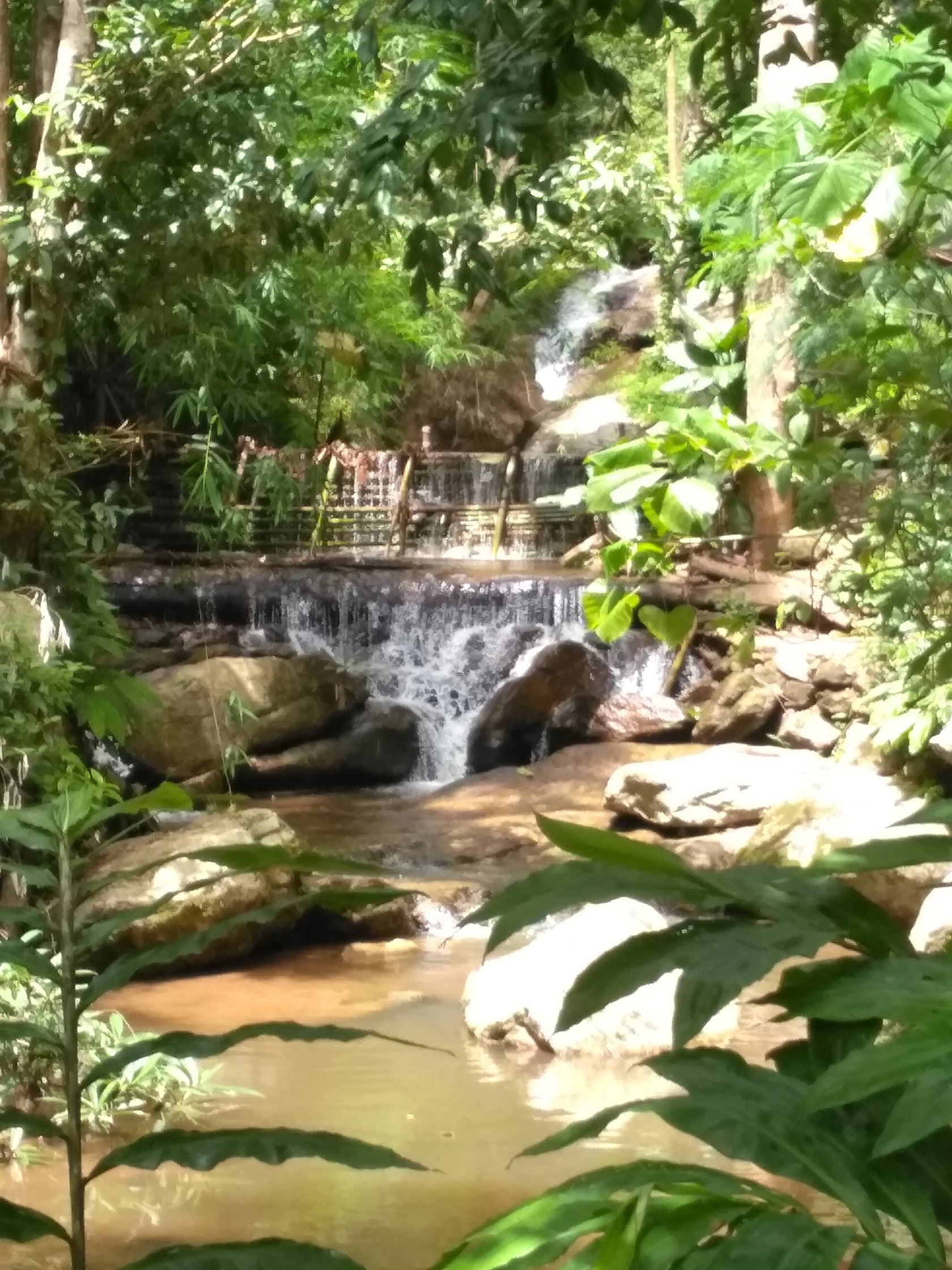 [치앙마이] 도이수텝 트레킹 투어