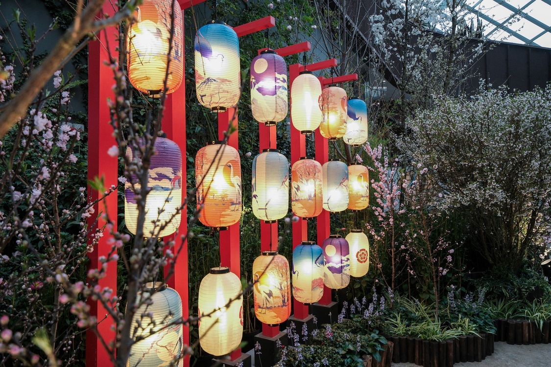 가든스 바이 더 베이 : 플라워 돔/클라우드 포레스트/플로럴 판타지