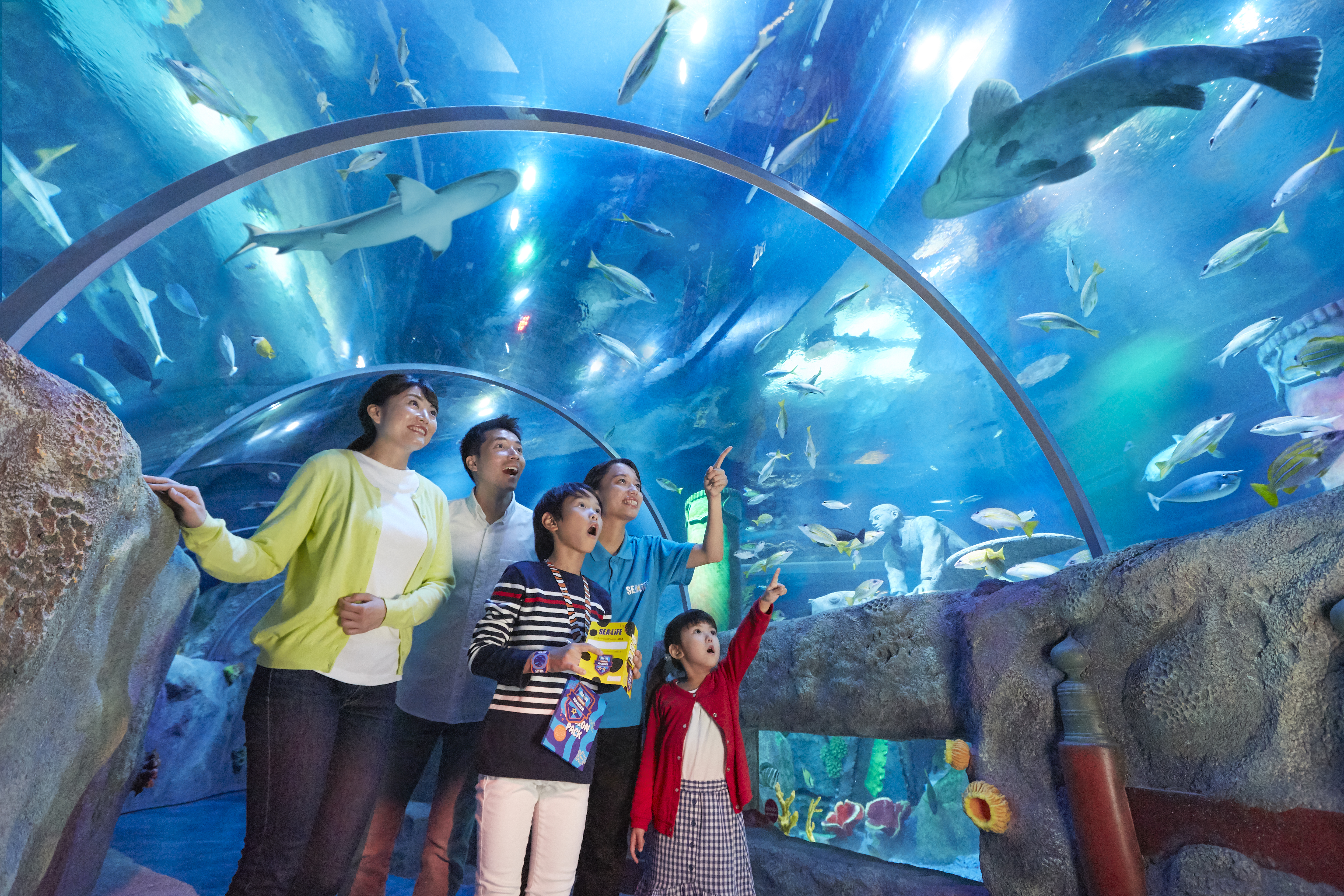 [나고야]  레고랜드 & SEA LIFE  아쿠아리움 (비수기)